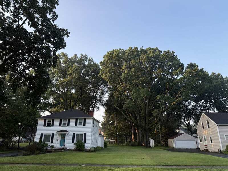 97 Owaissa / side lawn