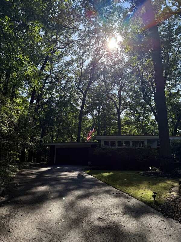 Woodland / probable 5