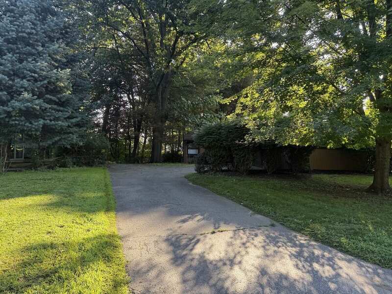 Eastwood / wooded 2