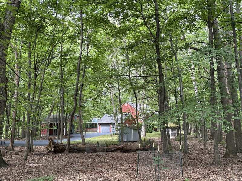 Field view associated with 2 Woodland Circle emphasizing wooded ground, canopy enclosure, and building context