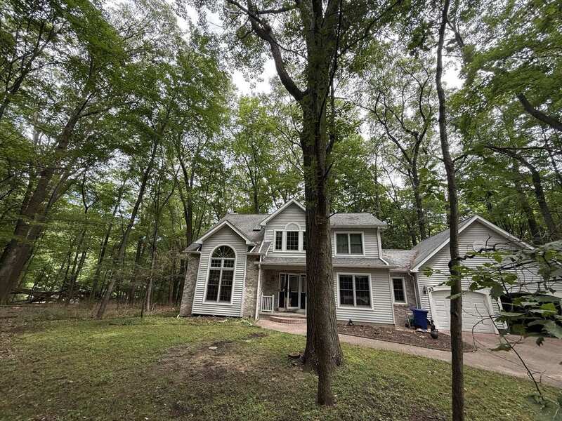 32 Woodland / canopy